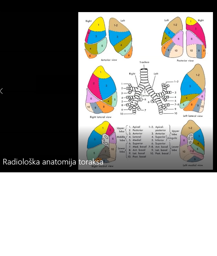 Lecture Thumbnail